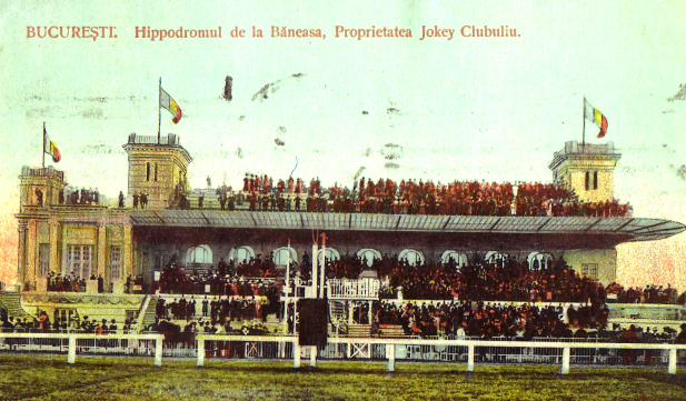 Element decorativ colț stânga jos